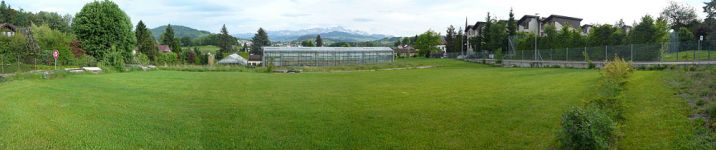 Im Farnen - 2011 vor Baubeginn 1