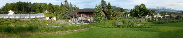 Im Farnen - 2011 vor Baubeginn 2