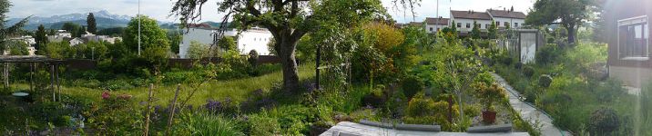 Im Farnen - 2011 vor Baubeginn 3